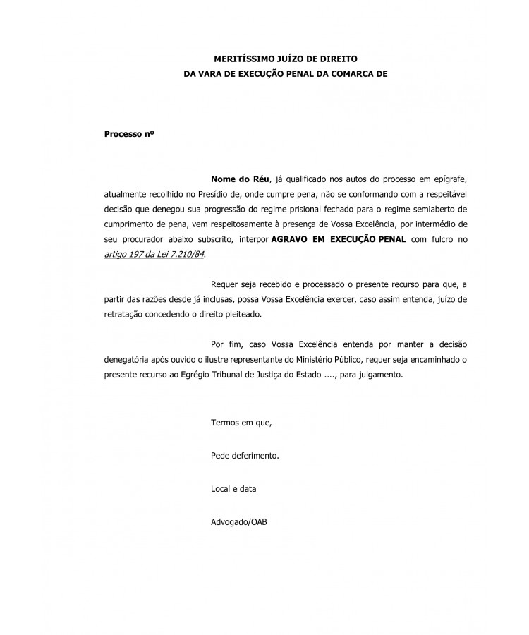 Agravo em Execução Penal.