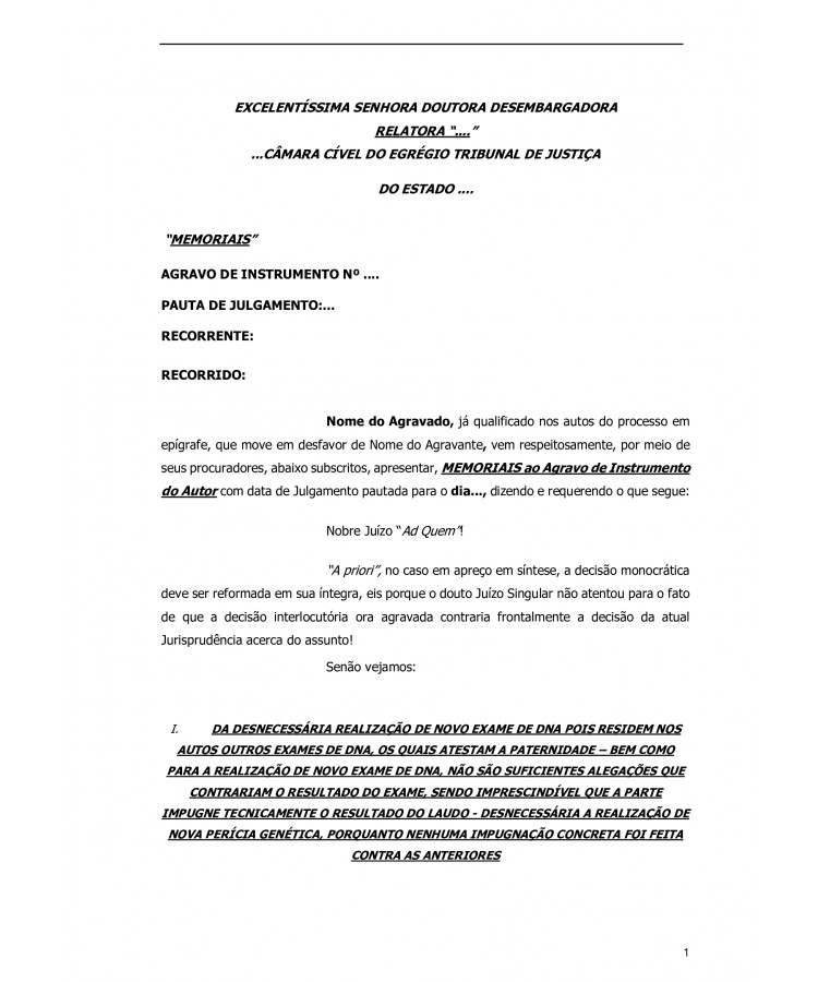 Memoriais para julgamento do Agravo de Instrumento no TJ contra decisão que determinou a realização de novo exame DNA.