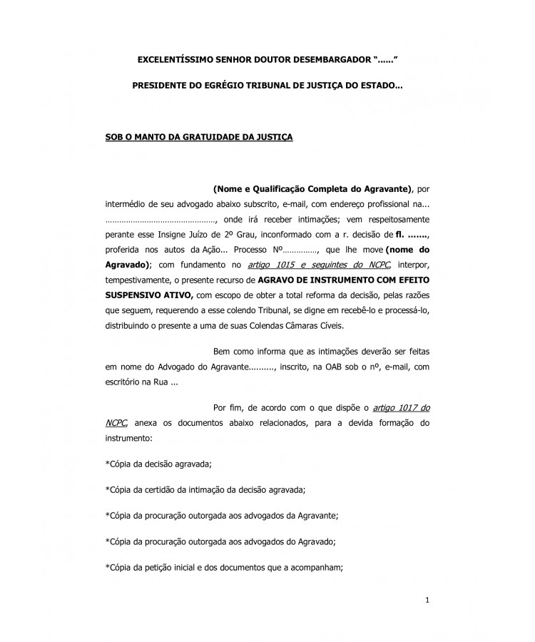 Agravo de Instrumento contra Decisão que não admitiu a Exceção de Pré-Executividade como meio de Defesa do Executado em Processo de Execução.