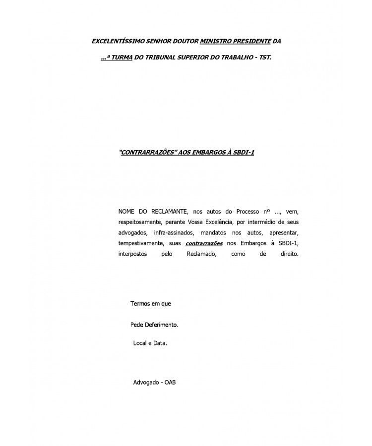 Contrarrazões de Embargos para SDI. TST. Horas Extras. Divisor.